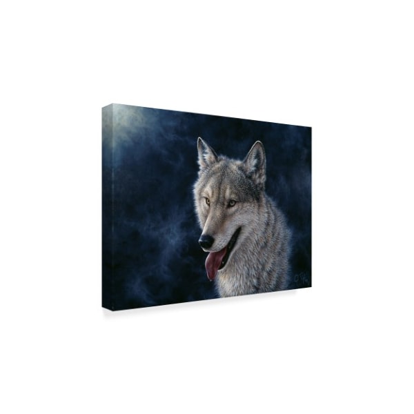 Jeff Tift 'Wolf' Canvas Art,18x24